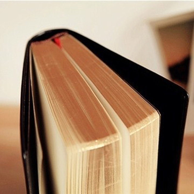 Vintage Thick Leather Bible No - Leather Work Notepad 评论和价格